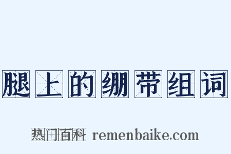 腿上的绷带组词是什么意思的图片